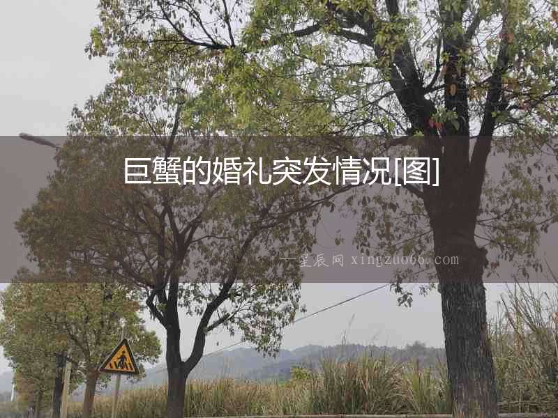 巨蟹的婚禮突發(fā)情況[圖]