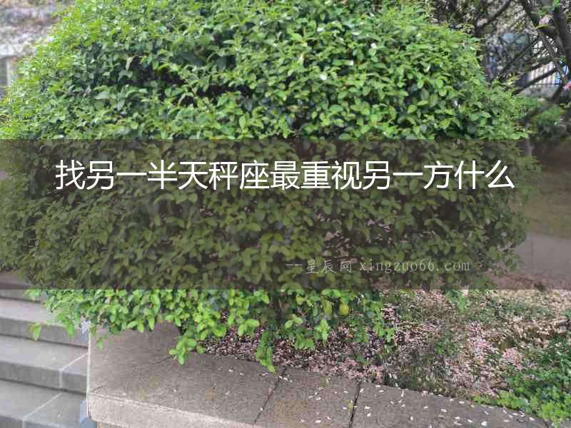 找另一半天秤座最重視另一方什么