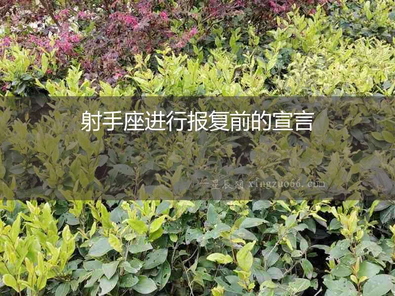 射手座進行報復前的宣言