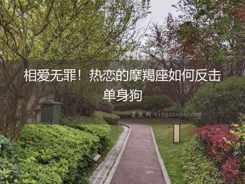 相愛無罪！熱戀的摩羯座如何反擊單身狗
