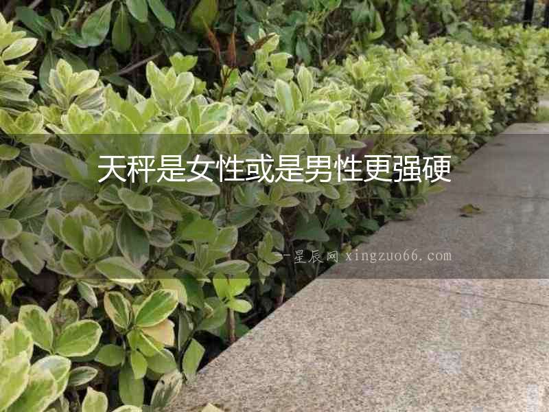 天秤是女性或是男性更強硬