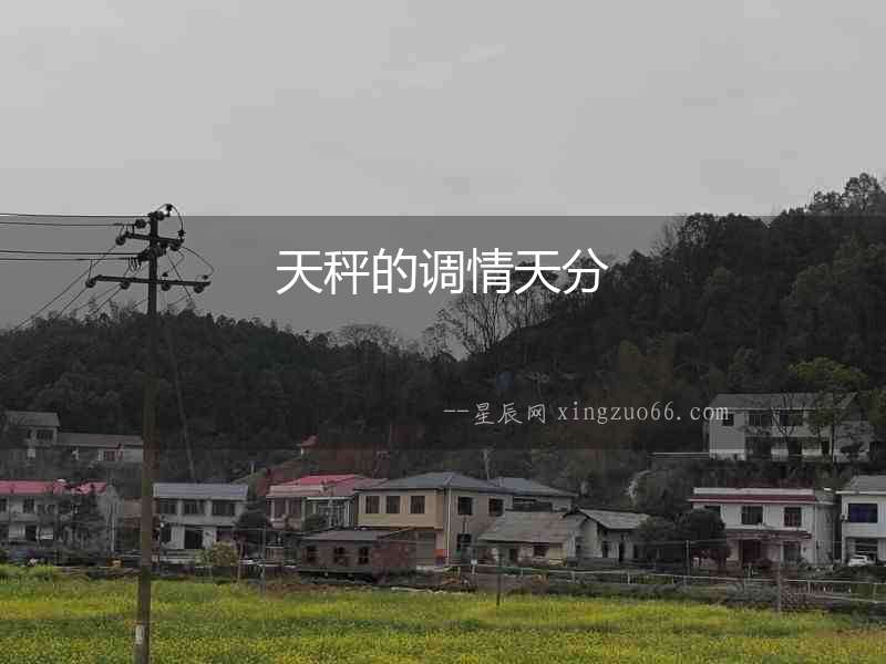天秤的調情天分