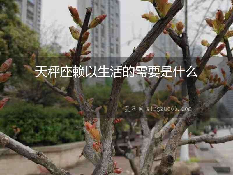 天秤座賴以生活的需要是什么
