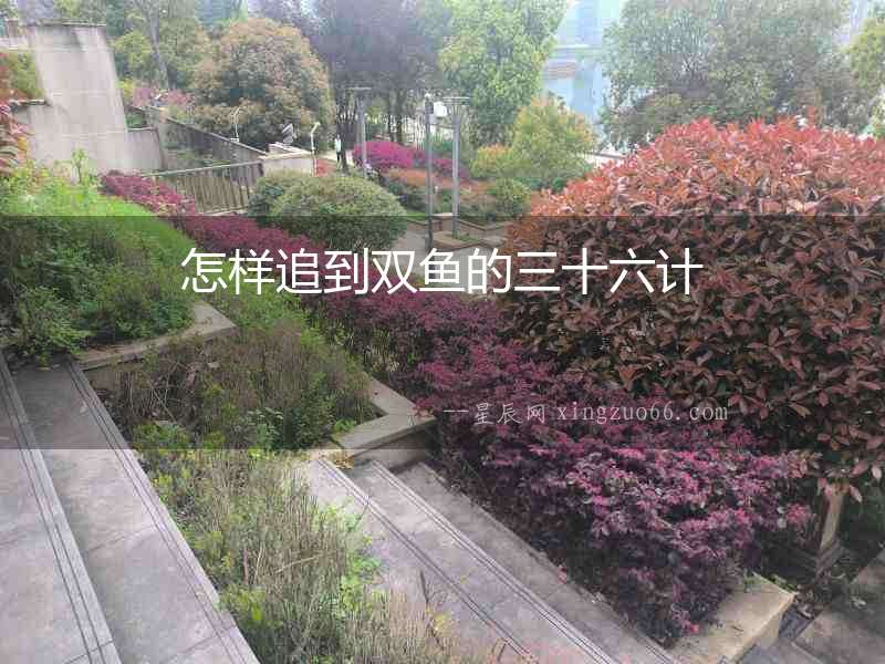 怎樣追到雙魚的三十六計