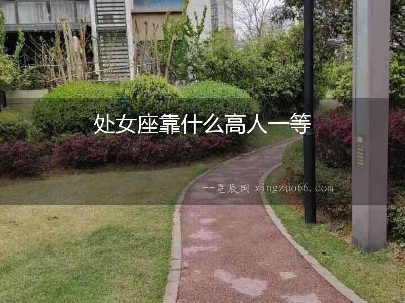 處女座靠什么高人一等