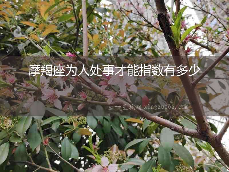 摩羯座為人處事才能指數有多少