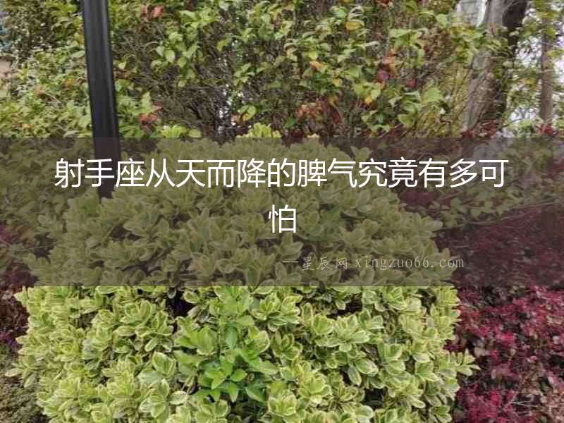 射手座從天而降的脾氣究竟有多可怕