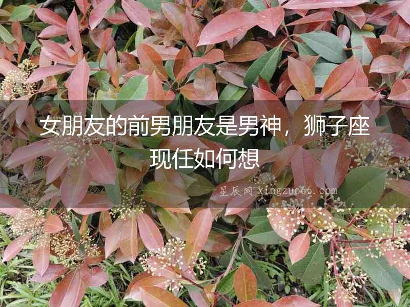 女朋友的前男朋友是男神，獅子座現任如何想