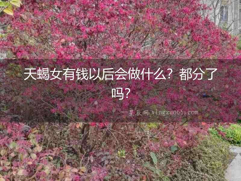 天蝎女有錢以后會做什么？都分了嗎？