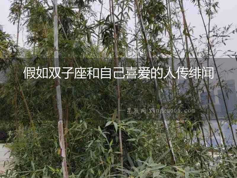 假如雙子座和自己喜愛的人傳緋聞