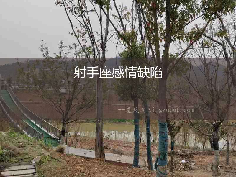 射手座感情缺陷