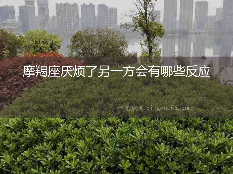 摩羯座厭煩了另一方會有哪些反應