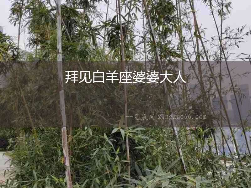 拜見白羊座婆婆大人