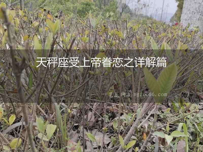 天秤座受上帝眷戀之詳解篇