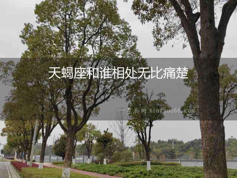 天蝎座和誰相處無比痛楚