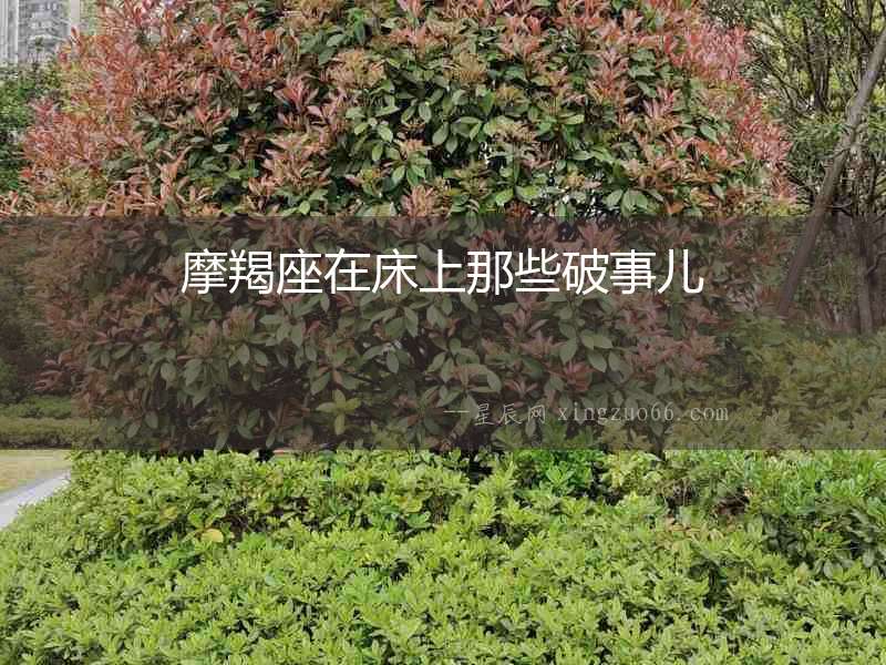 摩羯座在床上那些破事兒