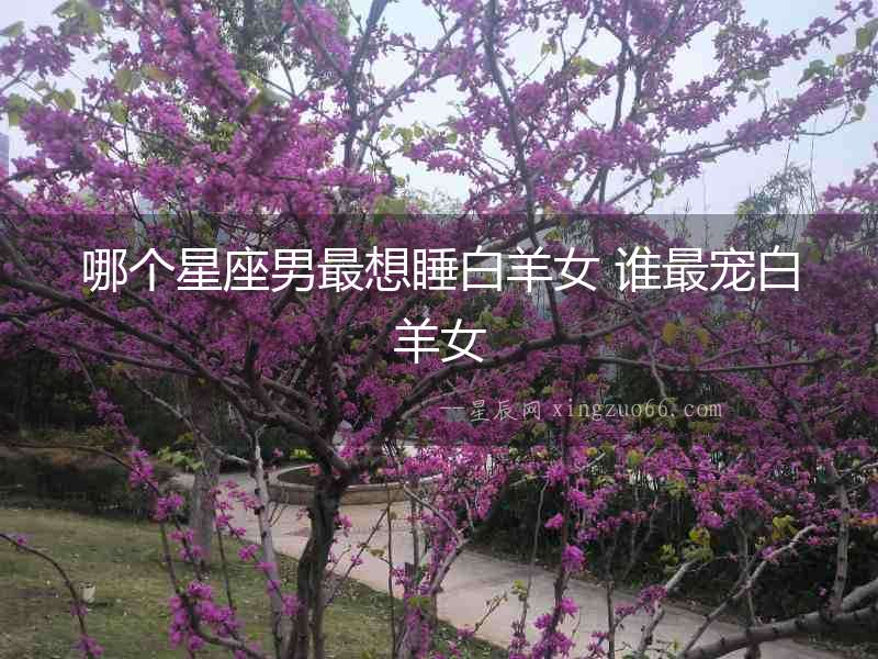 哪個星座男最想睡白羊女 誰最寵白羊女