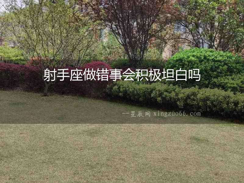射手座做錯(cuò)事會(huì)積極坦白嗎
