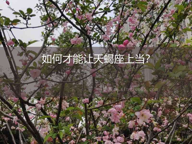 如何才能讓天蝎座上當？