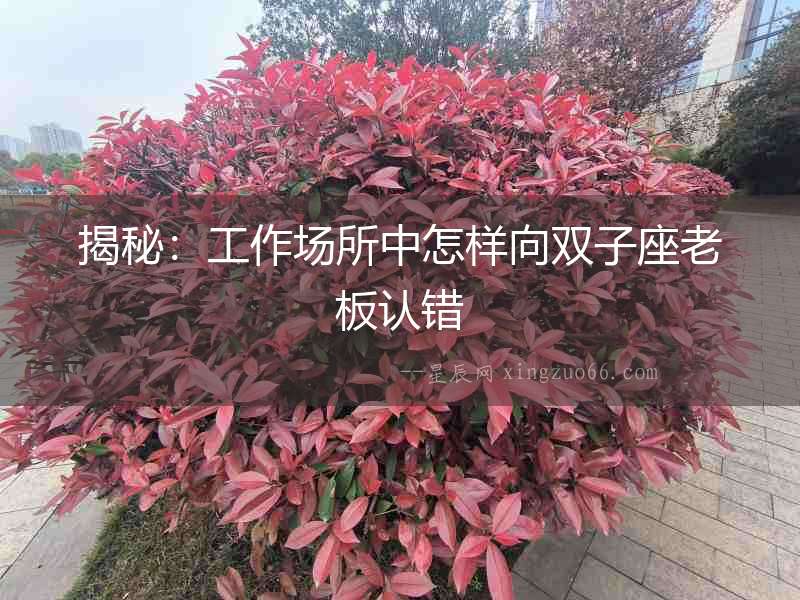 揭秘：工作場所中怎樣向雙子座老板認錯