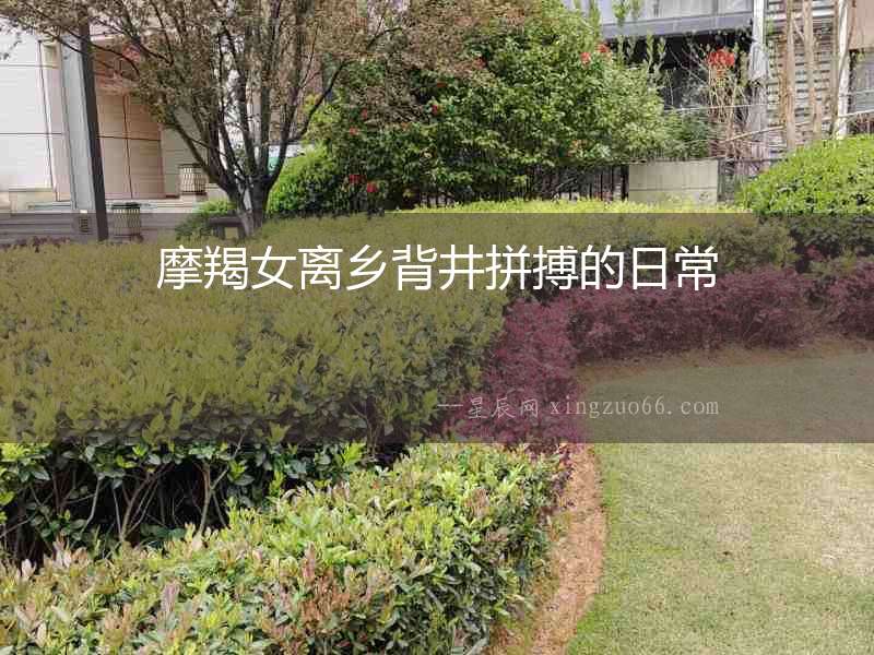 摩羯女離鄉(xiāng)背井拼搏的日常