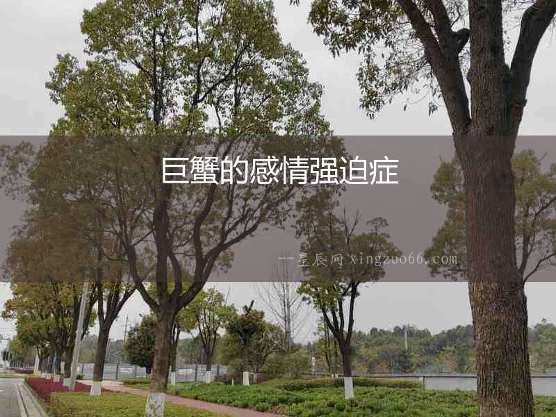 巨蟹的感情強迫癥