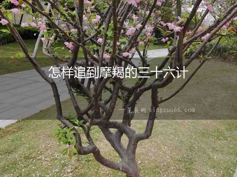 怎樣追到摩羯的三十六計(jì)