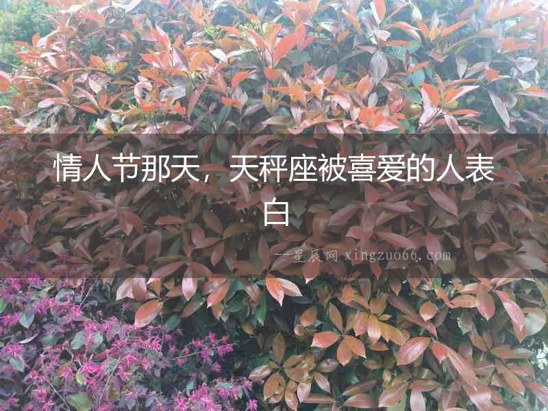 情人節那天，天秤座被喜愛的人表白