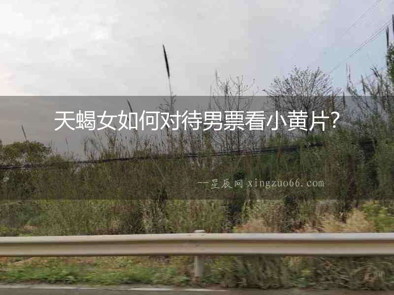 天蝎女如何對待男票看小黃片？