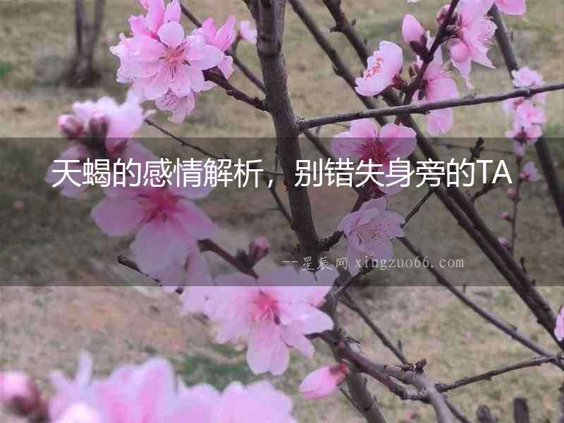 天蝎的感情解析，別錯失身旁的TA