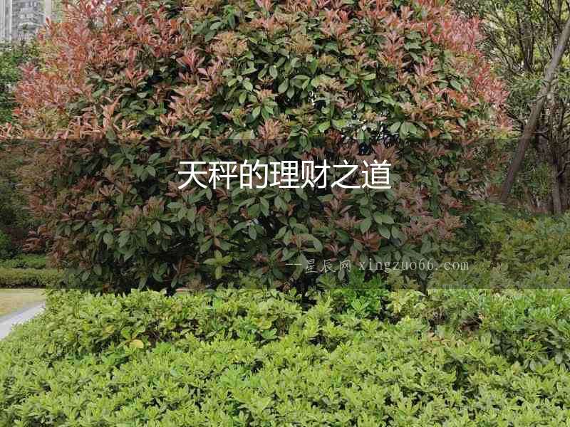 天秤的理財之道
