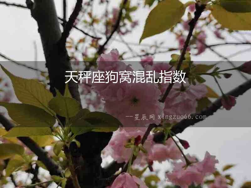 天秤座狗窩混亂指數(shù)