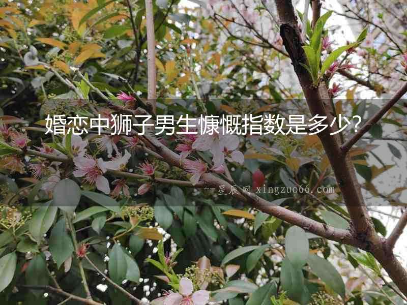 婚戀中獅子男生慷慨指數(shù)是多少？