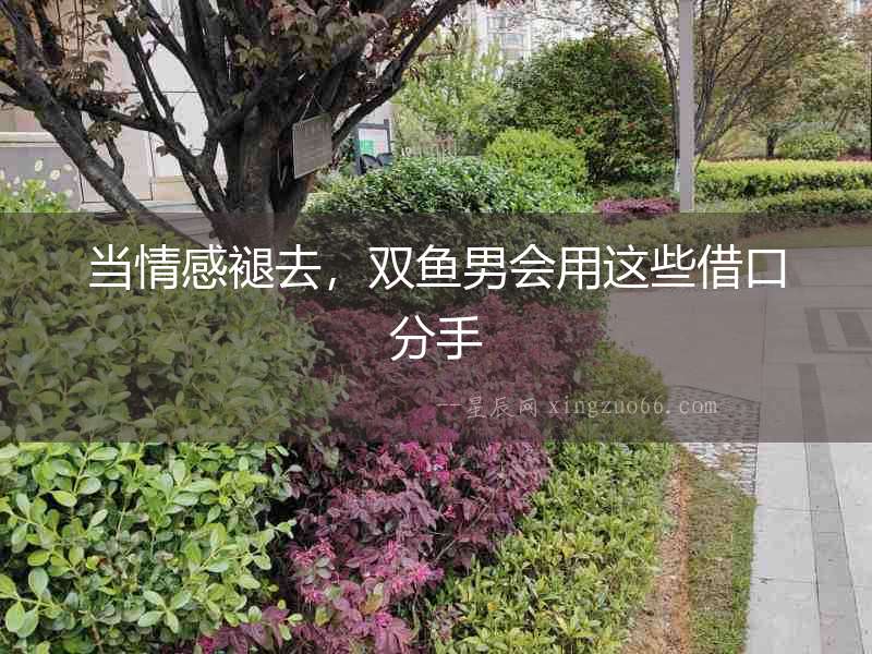 當情感褪去，雙魚男會用這些借口分手