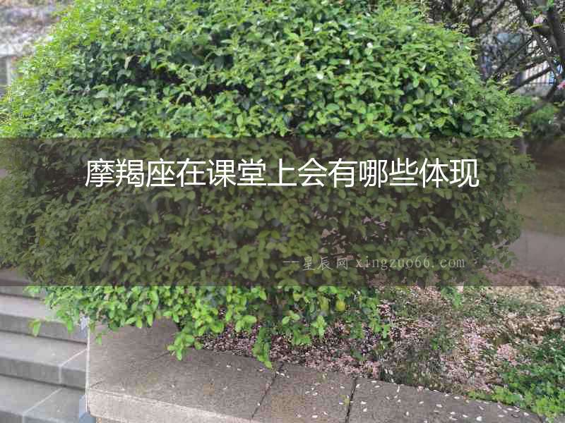 摩羯座在課堂上會有哪些體現