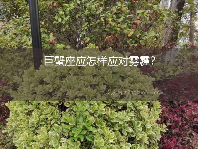 巨蟹座應(yīng)怎樣應(yīng)對(duì)霧霾？