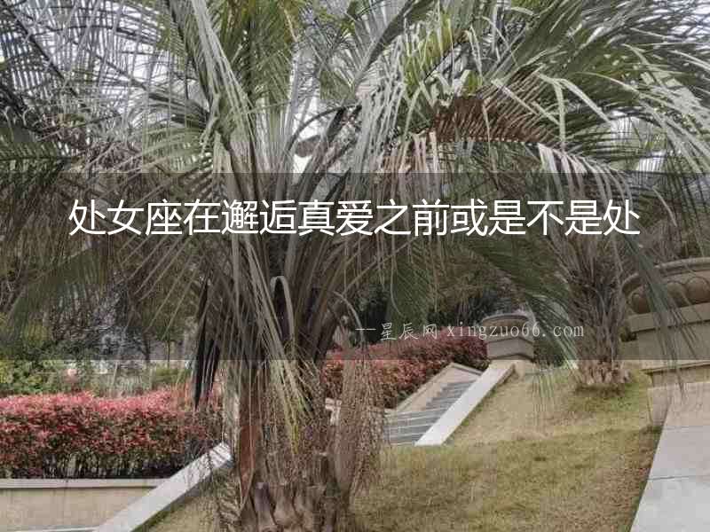 處女座在邂逅真愛之前或是不是處