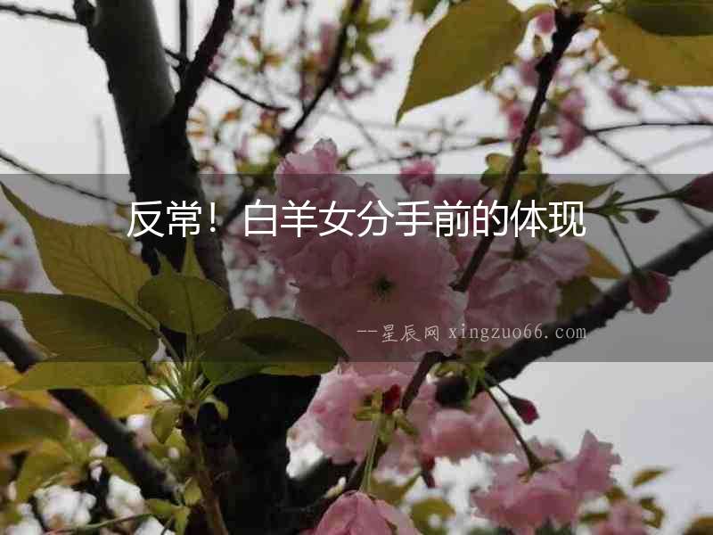 反常！白羊女分手前的體現