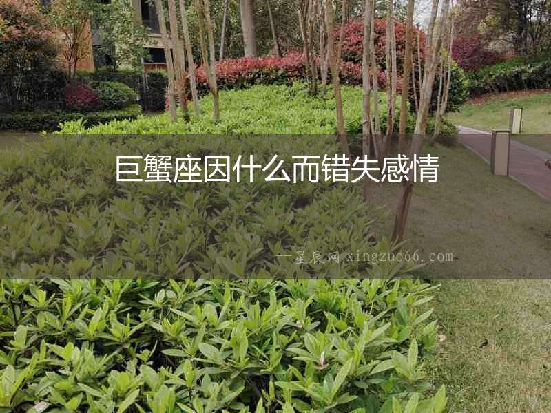 巨蟹座因什么而錯失感情