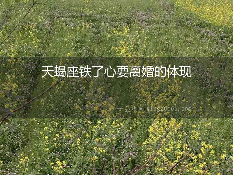 天蝎座鐵了心要離婚的體現