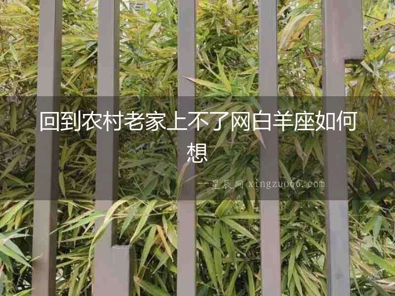 回到農村老家上不了網白羊座如何想
