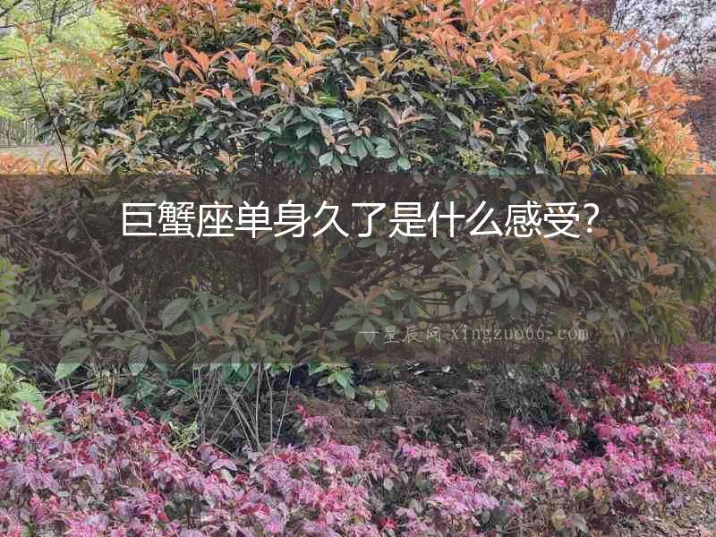 巨蟹座單身久了是什么感受？
