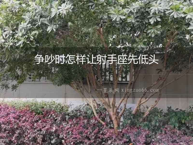 爭吵時怎樣讓射手座先低頭