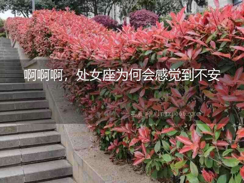 啊啊啊，處女座為何會感覺到不安