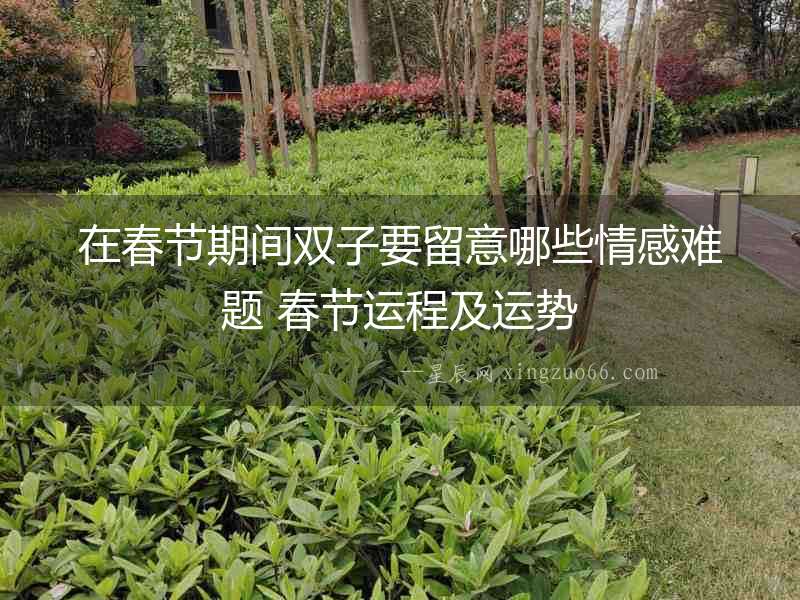 在春節期間雙子要留意哪些情感難題 春節運程及運勢
