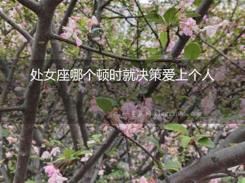 處女座哪個(gè)頓時(shí)就決策愛上個(gè)人