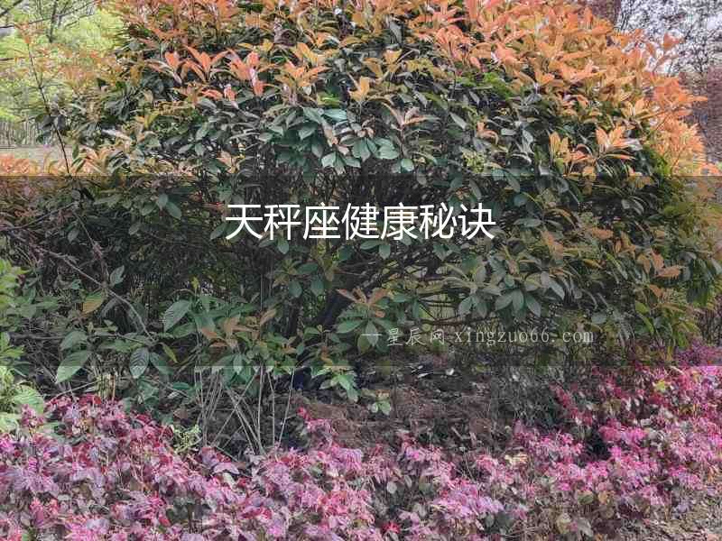 天秤座健康秘訣