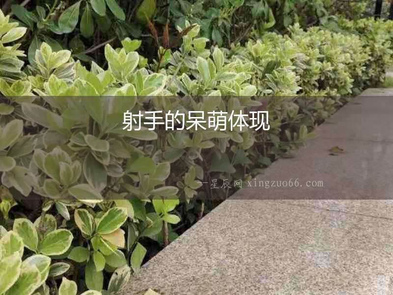 射手的呆萌體現