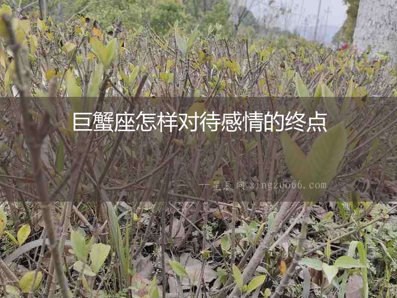 巨蟹座怎樣對(duì)待感情的終點(diǎn)