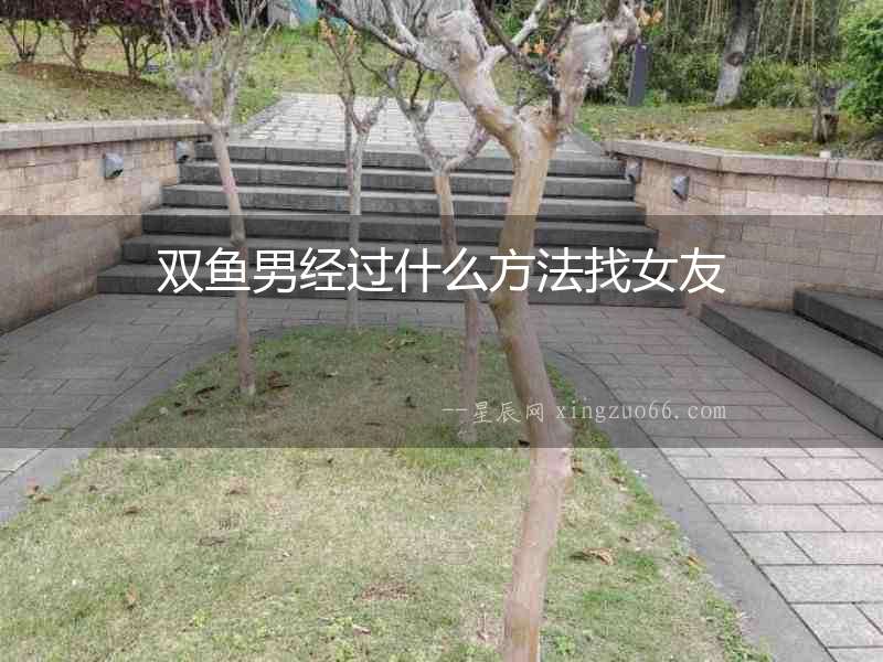 雙魚男經過什么方法找女友